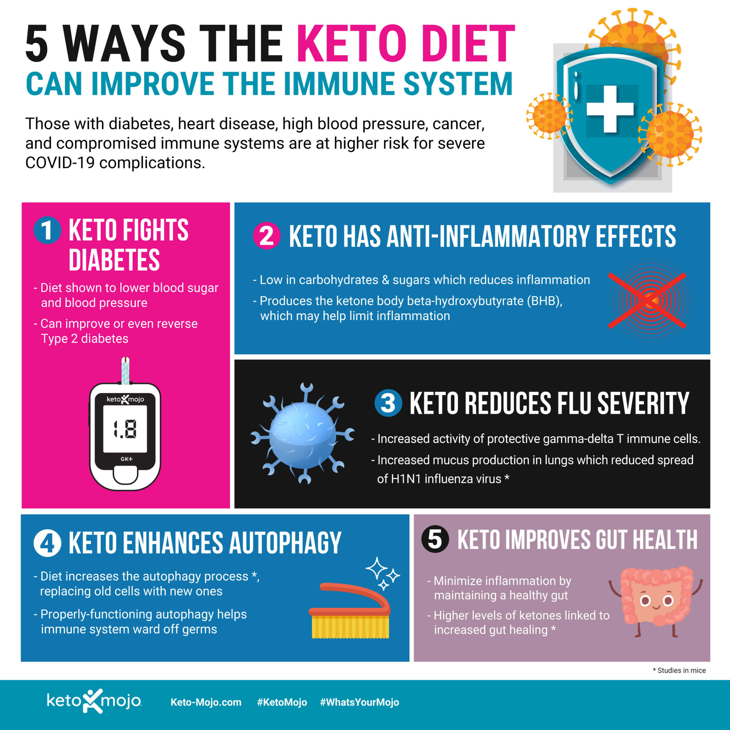 Keto and Immune System